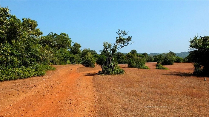 route to Agumbe Rainforest Research station