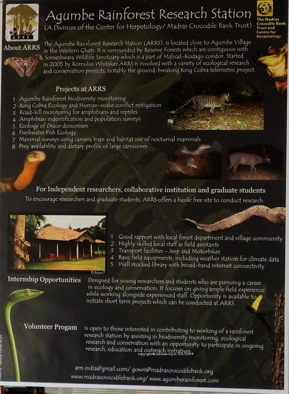 visit Agumbe Rainforest Research station