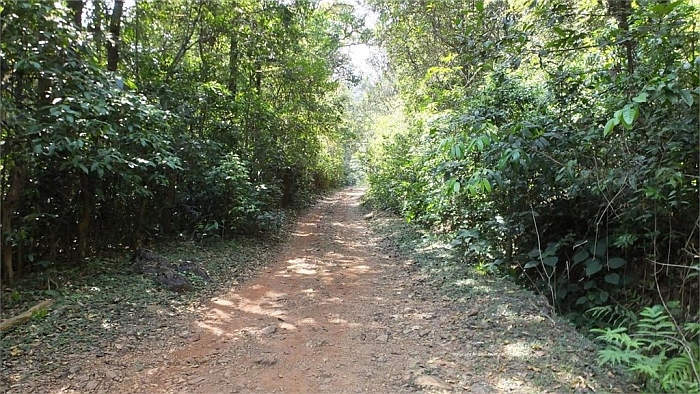 drive Agumbe Rainforest Research station