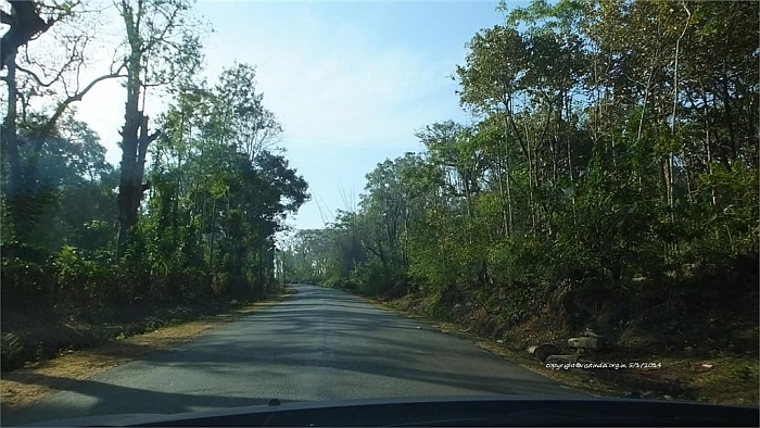 dubare elephant camp