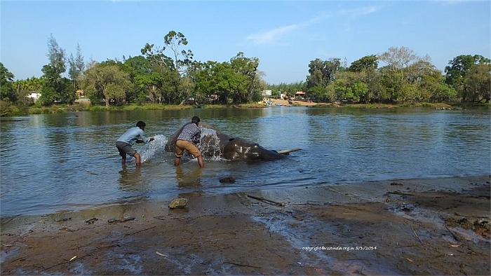 dubare elephant camp