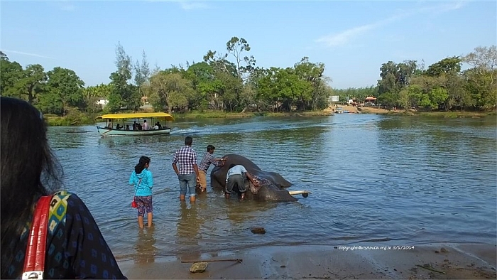 dubare elephant camp