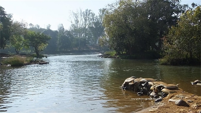 dubare elephant camp